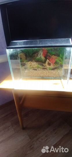 Аквариум