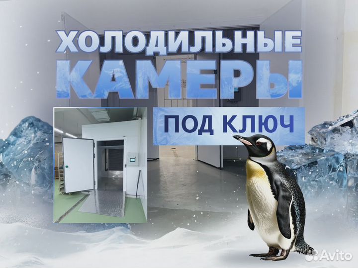 Холодильная камера для мяса