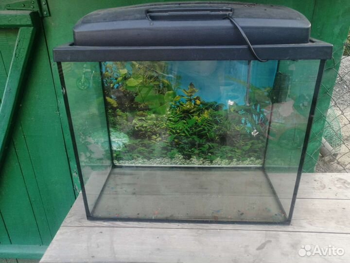 Аквариум
