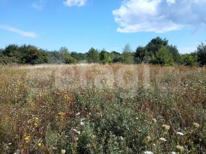 Участок 11,4 сот. (ИЖС)