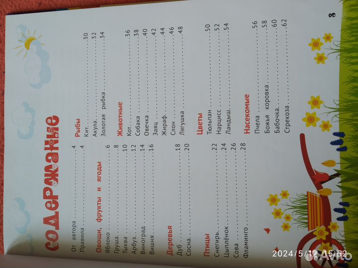 Самоучитель по рисованию