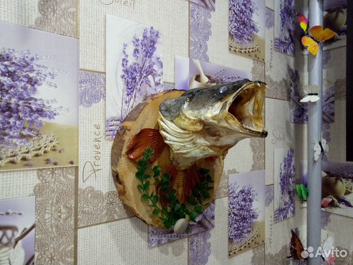 Чучело головы щуки и судака