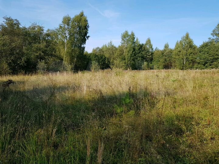 Участок 30 сот. (ИЖС)