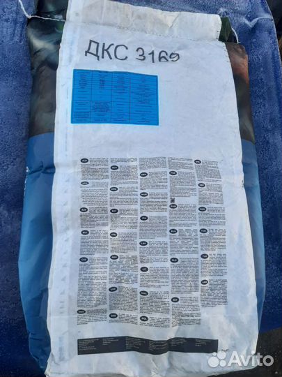 Семена кукурузы