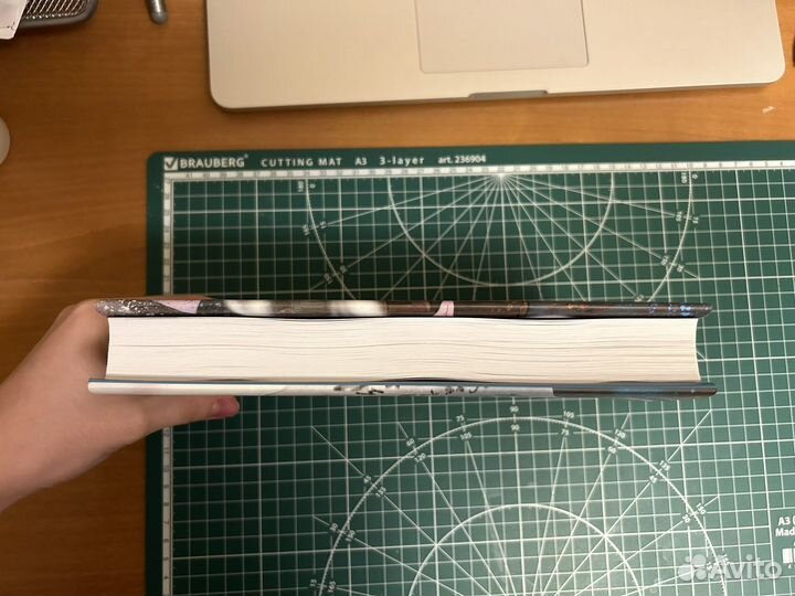 Книга благословение небожителей 4 том