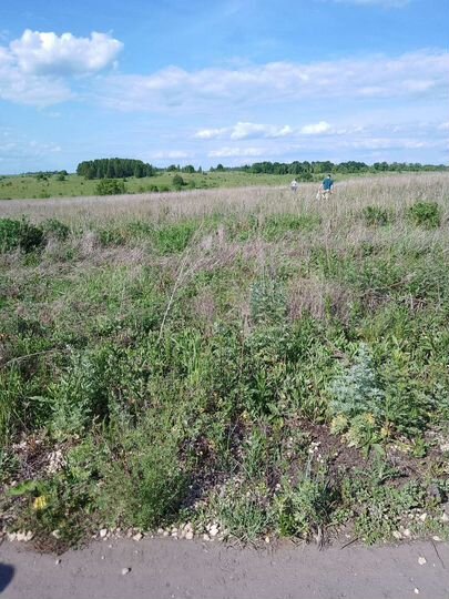 Участок 15 сот. (ИЖС)