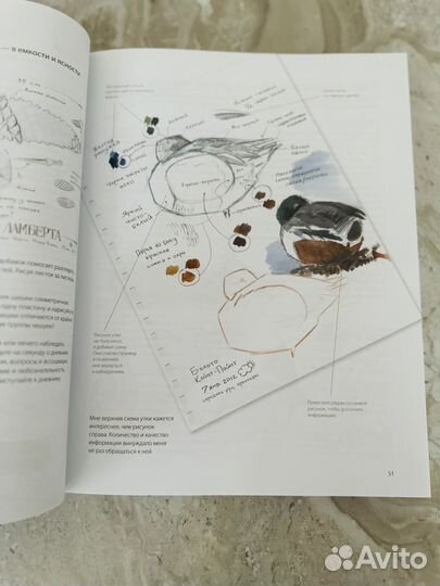 Резерв. Лоуз Дневник художника-натуралиста