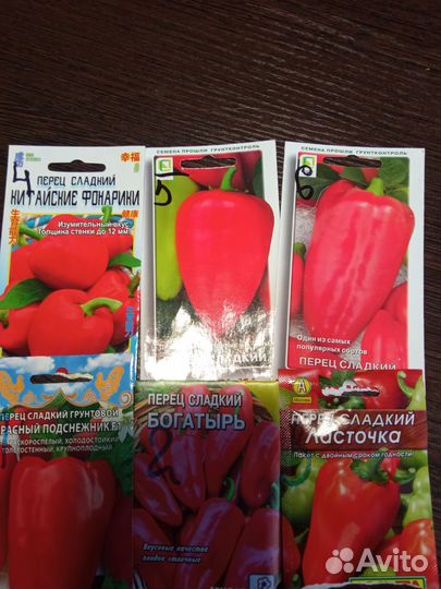 Рассада перцев