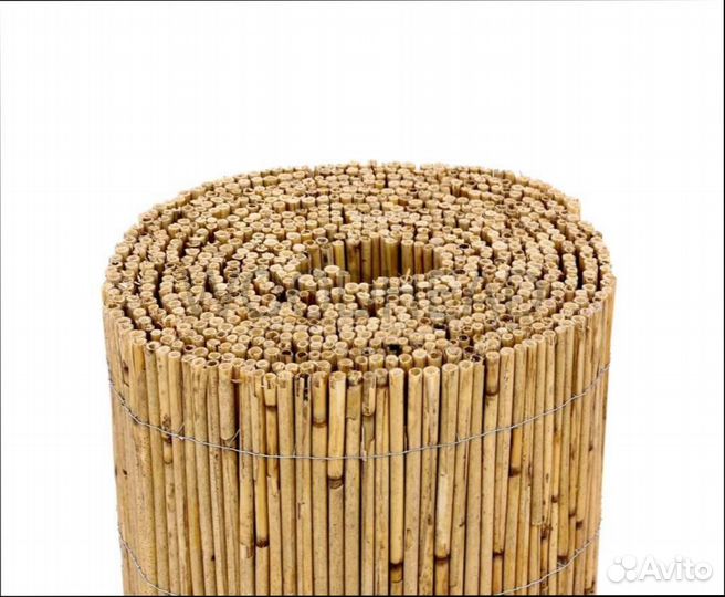 Забор из тростника