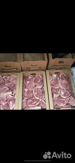Мясо свинина свежая