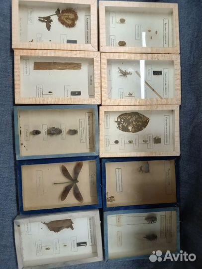 Пособия по зоологии