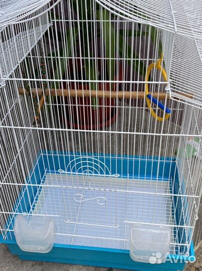 Клетка для птиц