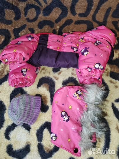 Мини той-терьер