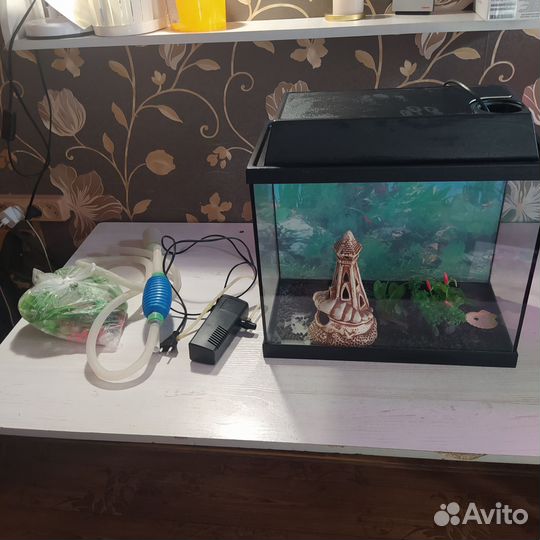 Аквариум