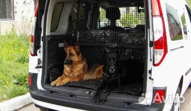 Перевозка домашних животных