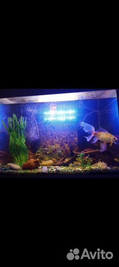 Аквариум с тумбой 130 литров