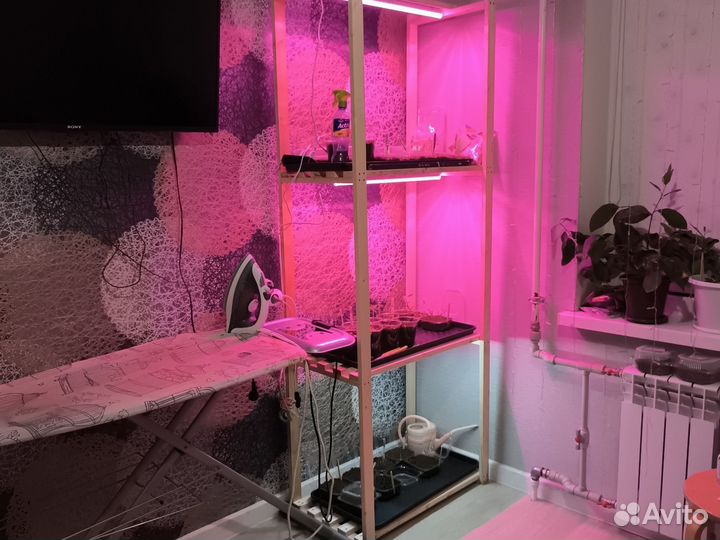 Изготовлю стеллаж под рассаду.Размеры ваши