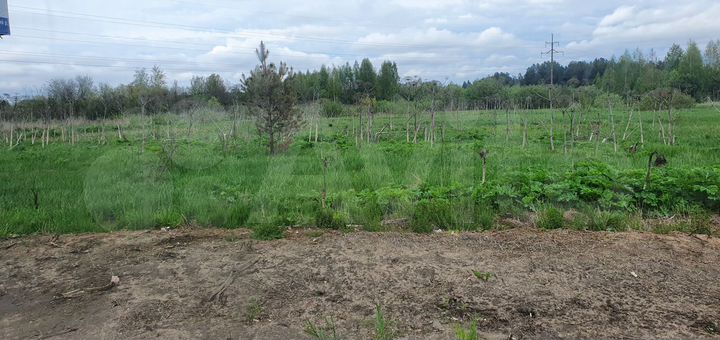 Участок 9,99 га (ИЖС)