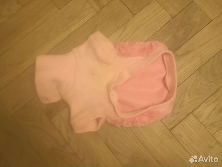 Одежда для маленькой собачки