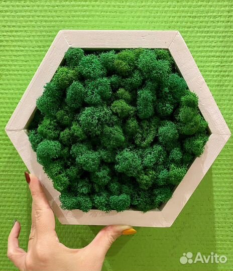 Полка сота с с наполнением мхом