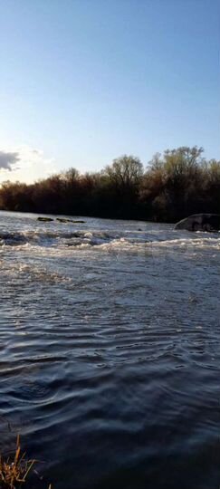 Участок 41,2 сот. (ИЖС)