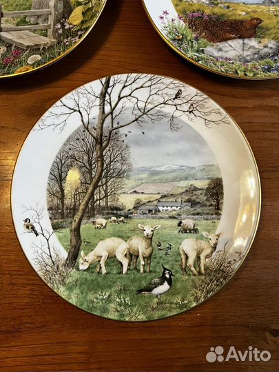 Настенные тарелки. Royal Worcester. Англия