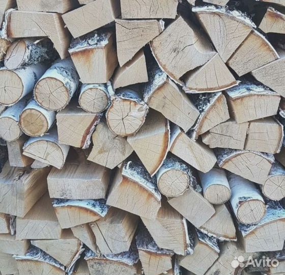 Дрова береза