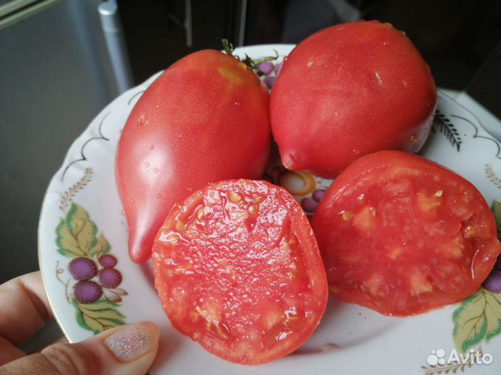 Семена томатов