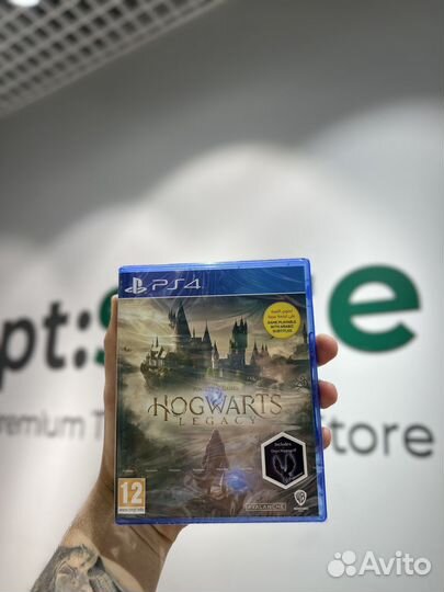 Игра для PS4 Hogwarts Legacy RU
