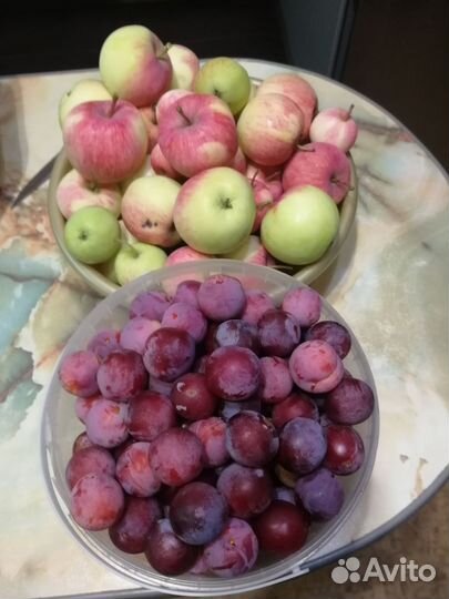Сливы, яблоки