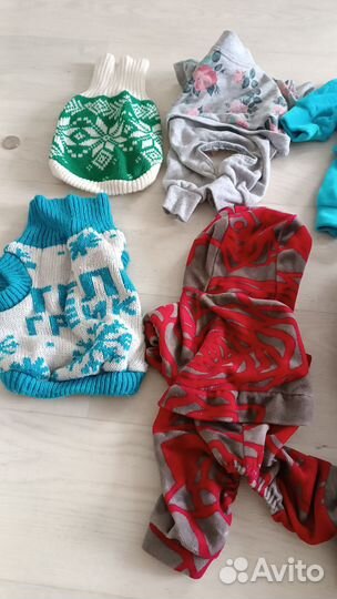 Одежда на маленькую собаку, кофта, комбинезон