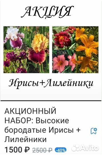 Акция Ирисы/Лилейники/Пион/Хоста/Лилия
