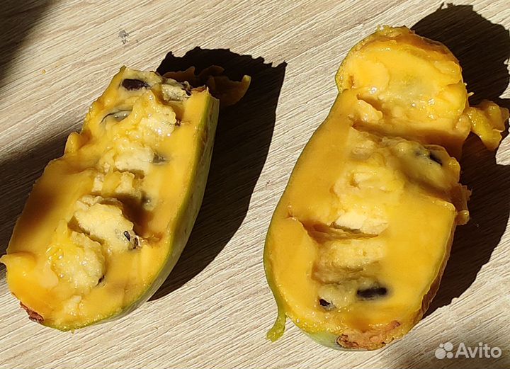 Азимина саженцы