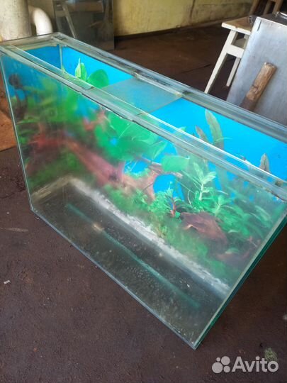 Аквариум