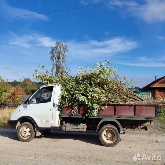 Продам Навоз. Перегной. Дрова (колотые)