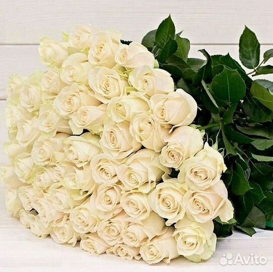 Метровые розы Доставка цветов