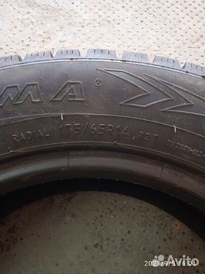 Gopro Winter-Eco 175/65 R14