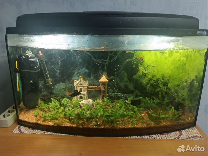 Продам готовый аквариум