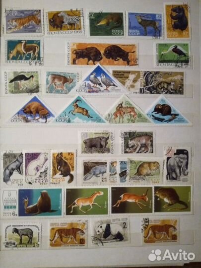 Марки Болгария, Гдр,Польша, Куба, Вьетнам, СССР