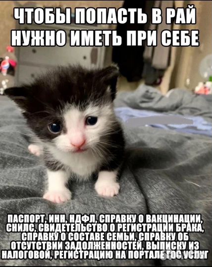 HR менеджер / Менеджер по подбору персонала