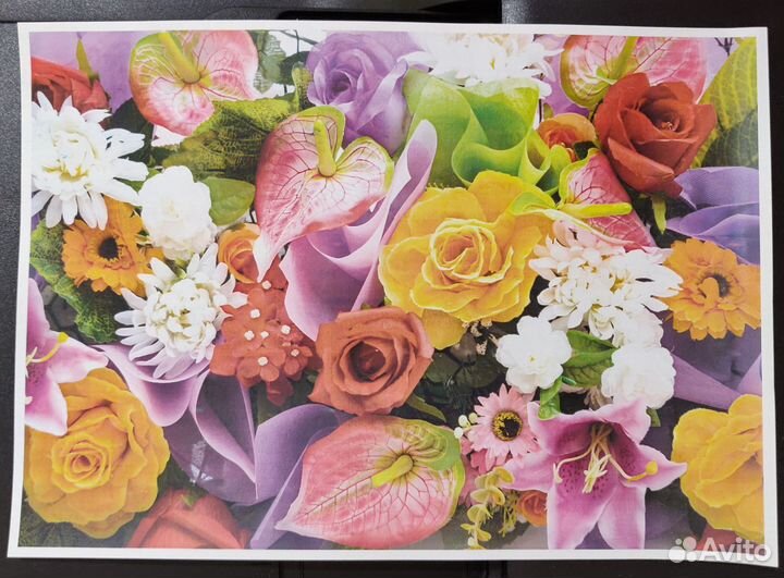 Мфу лазерный цветной с wifi samsung clx-3305fw