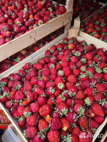 Клубника, яблоки и груши