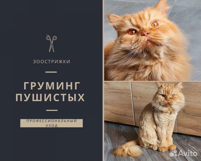 Уход за животными