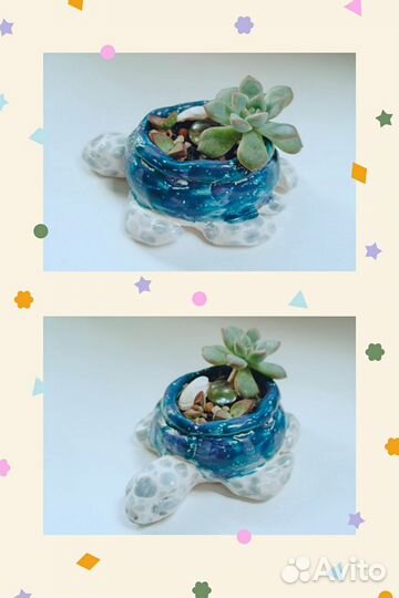 Флорариумы, садики суккулентов, керамика