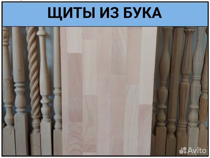 Буковый щит