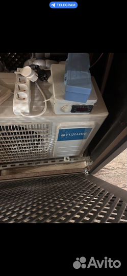 Аквариум для устриц