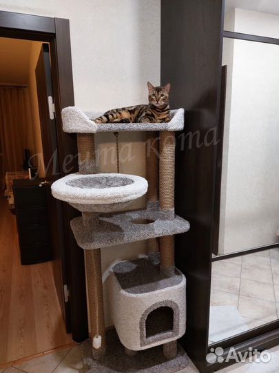 Комплекс для кошек, когтеточка