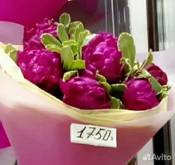 Анемона,гортензия,хризантема 