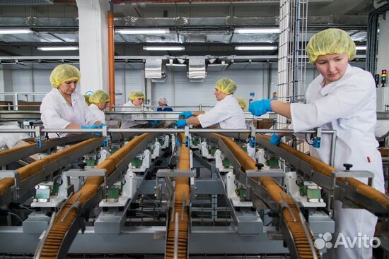 Укладчик на производство печенья