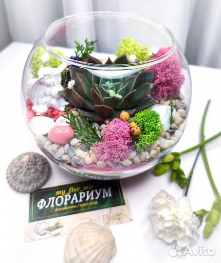 Флорариум